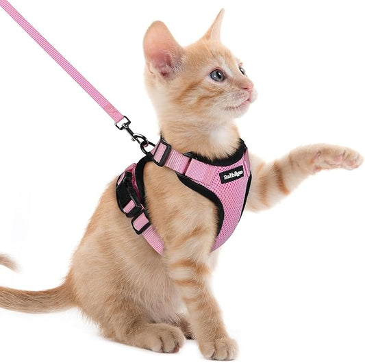 rabbitgoo Cat Harness and Leash Set, Escape Proof Kitten Harness for Safe Outdoor Walks, Soft Breathable Adjustable Vest with Reflective Strips for Kittens and Extra Small Cats, Pink, XXS