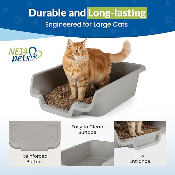 KittyGoHere Senior Cat Litter Box, Jumbo Litter pan with Long-Handle Jumbo Scoop, Open Top Low Entrance Kitty Litter Box, Lightweight Low Entry Litters Box, Durable, Made in USA (2 Pack - Misty Gray)
