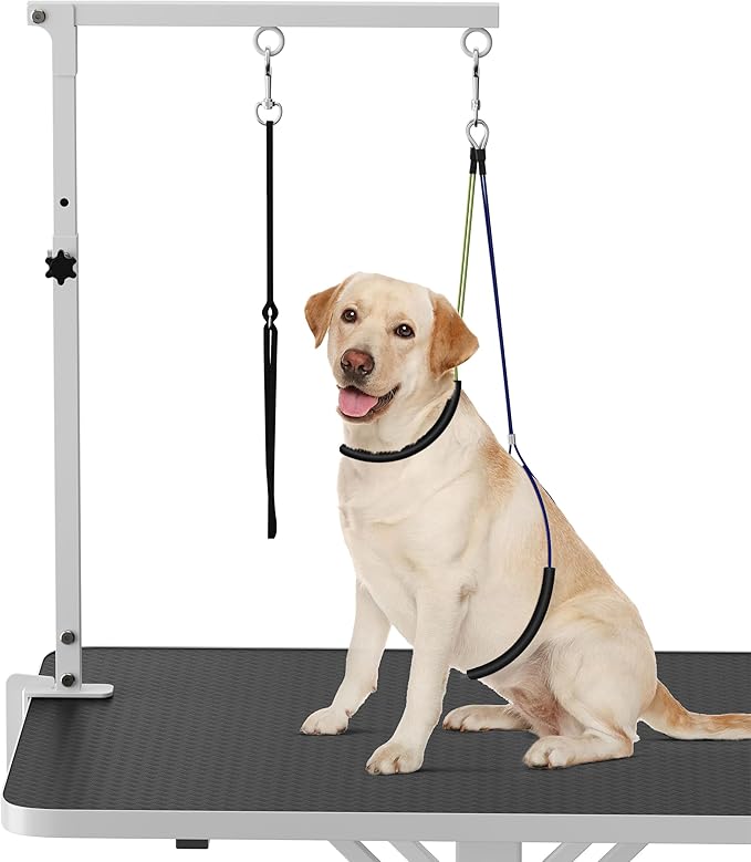 Dog Grooming Arm with Clamp for Small Dog, Adjustable Height to 33in, Pet Grooming Arm for Table with 1 Loop Noose & 2 No Sit Haunch Holder for Home & Store Nail Trimming (Table Not Include)