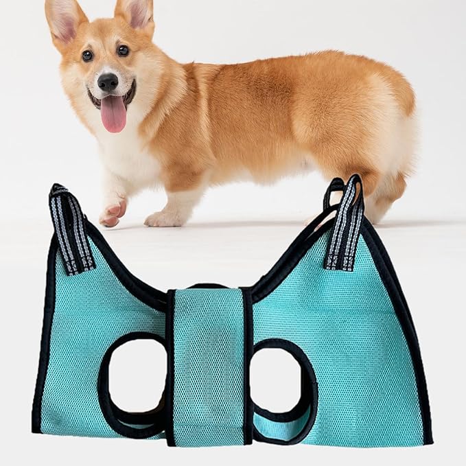 Pet Grooming Hammock Harness Dogs Grooming Sling Cleaning Accessories Breathable Hammock Helper for Clipping Claw Care Puppy Nail Trimming, M