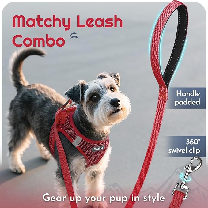 Eagloo Small Dog Harness and Leash Set, Step in Puppy Vest with Breathable Soft Mesh, Walking Reflective Pet Harness for Small Dogs, Red, S