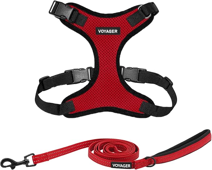 Best Pet Supplies Voyager Step-in Lock Pet Harness w Reflective Pet Leash Combo Set with Neoprene Handle 5ft - Supports Small, Medium and Large Breed Puppies/Cats - Red/Black Trim Set, M