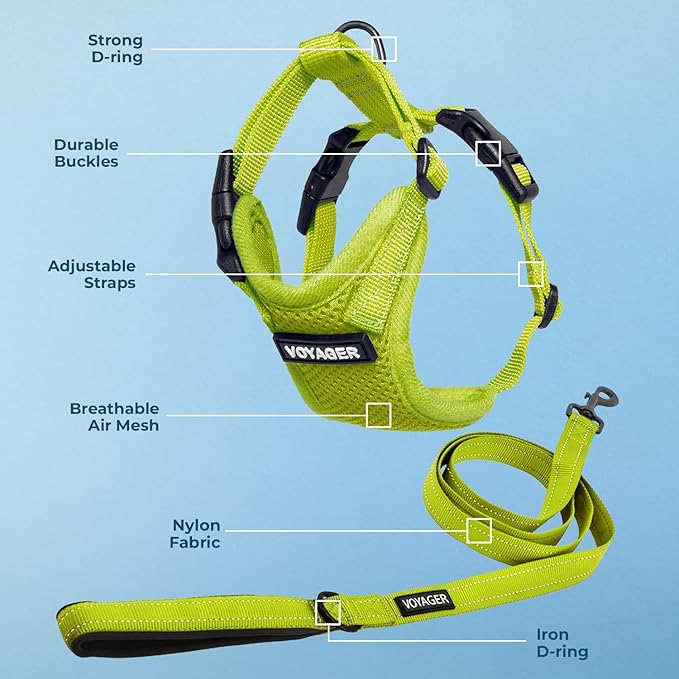 Best Pet Supplies Voyager Step-in Lock Pet Harness w Reflective Pet Leash Combo Set with Neoprene Handle 5ft - Supports Small, Medium and Large Breed Puppies/Cats - Lime Green, XL