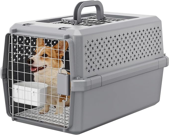 RIZZARI Pets Spree Hard-Sided Pet Travel Carrier, Portable Crate for Medium Dogs and Cats, Durable Plastic Carrier with Metal Door and Ventilation, Ideal for Air Travel, Trips and Outdoor Use