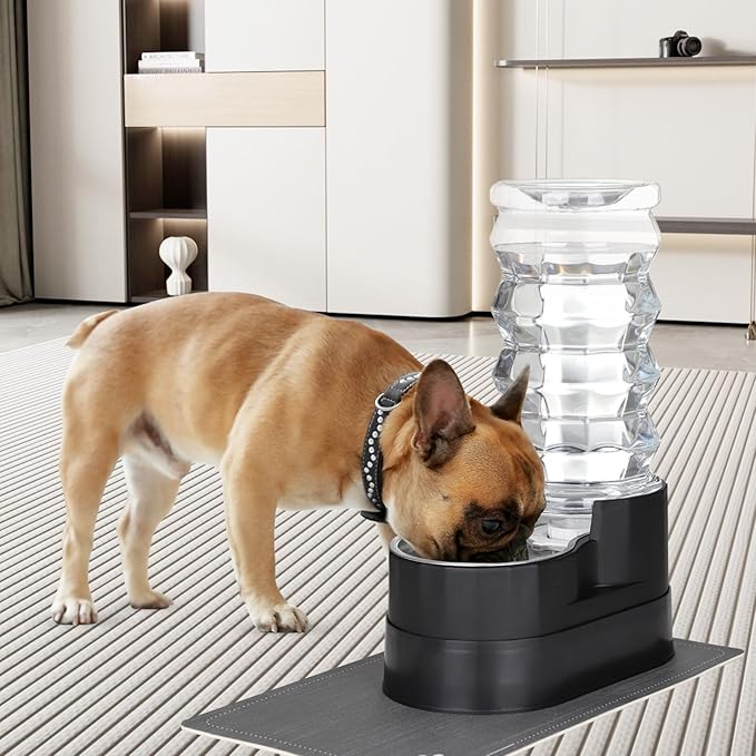 RIZZARI 8L Elevated Pet Water Dispenser – Stainless Steel Gravity Waterer with Auto-Refill Design for Medium and Large Dogs & Senior Pets -Comfortable Drinking Height for Living Rooms,Multi-Pet Homes