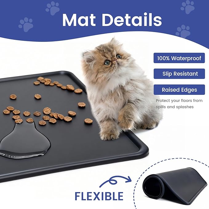 Raised Dog Cat Food Bowl, Cat Food and Water Bowl Set with Water Dispenser, Stainless Steel Bowls and Feeding Mat, Food Feeding Dishes for Indoor Cats and Small Dogs, Black