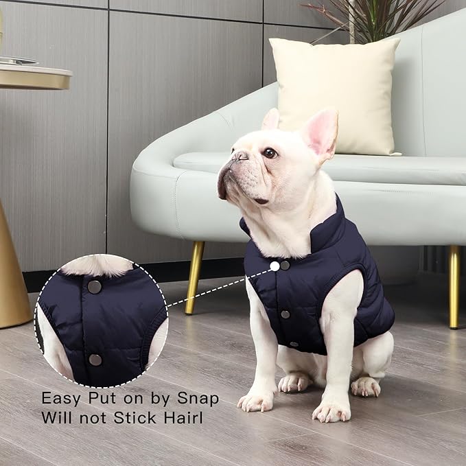 JoyDaog 2 Layers Fleece Lined Warm Dog Jacket for Winter Cold Weather,Soft Windproof Large Dog Coat,Blue XXXL