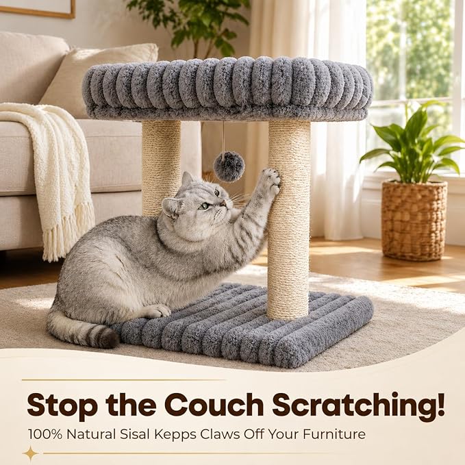 Cat Tree with Cat Scratching Post for Indoor Cats,Small Cat Tower with Soft Large Perch Bed Sisal Scratcher for Medium Cats and Kitten,Activity Play Centre Spring & Hanging Toy Balls,Grey