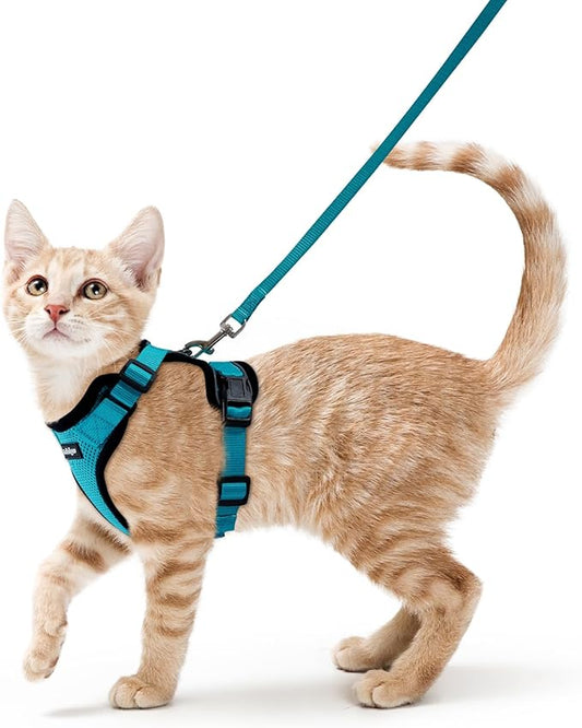rabbitgoo Cat Harness and Leash Set, Escape Proof Kitten Harness for Safe Outdoor Walks, Soft Breathable Adjustable Vest with Reflective Strips for Kittens and Small Cats, Teal, XS