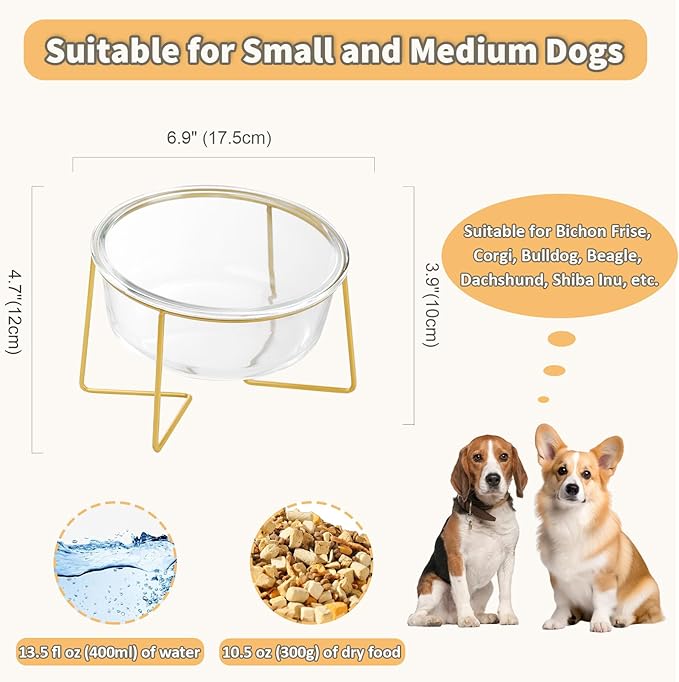 Large Glass Tilted Elevated Cat Dog Bowl Raised Cat Food Water Bowl Dish Pet Comfort Feeding Bowls with Gold Iron Stand