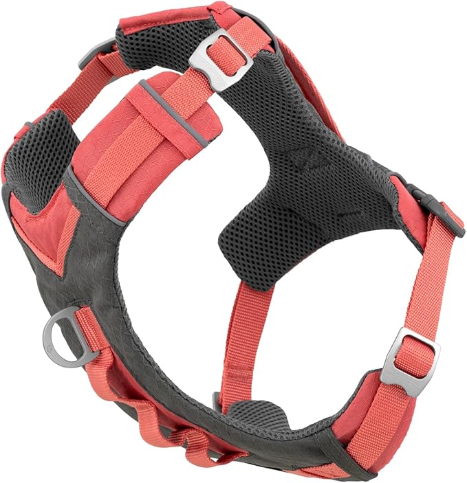 Kurgo Journey Air Dog Harness - Secure Fit for Active Dogs - Padded Chest - Lightweight Ripstop Fabric - Breathable Mesh - Reflective Trim - Back Assist Handle - Coral - Small