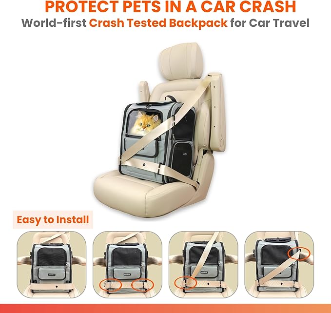 Crash-Tested Multi-Window Cat Backpack Carrier & Small Dog Car Seat | CPS Certified for Crash Protection & Safe Pet Travel | 4 Windows for Exploring, 4-Side Breathable, Zipper Lock, Foldable