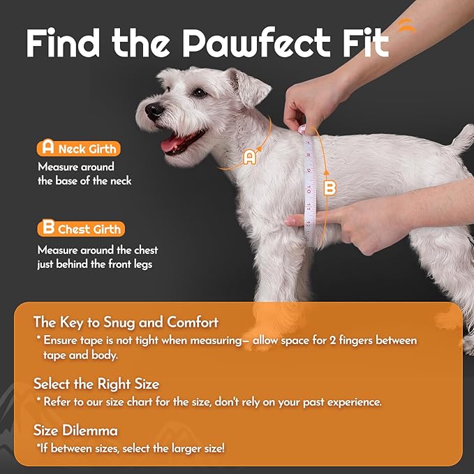 Eagloo Small Dog Harness and Leash Set, Step in Puppy Vest with Breathable Soft Mesh, Walking Reflective Pet Harness for Medium Small Dogs, Black, M