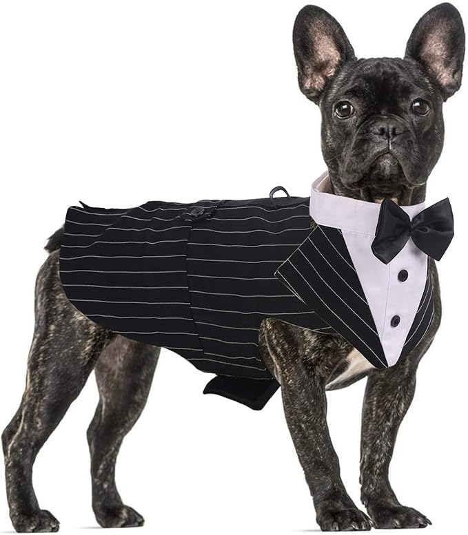 QBLEEV Dog Tuxedo Suit with Bow Tie, Formal Dog Tux Costume and Bandana Set for Wedding Outfit Birthday Party Cosplay Photo Shoot, Doggy Prince Attire for Maltese Dachshund Yorkie Puppies Shih Tzu