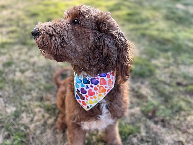 Lionet Paws Valentine's Dog Bandana,Fabric Love Dogs Kerchief for Medium Large Dogs,Dog Triangle Cotton Scarf for Girl Boy