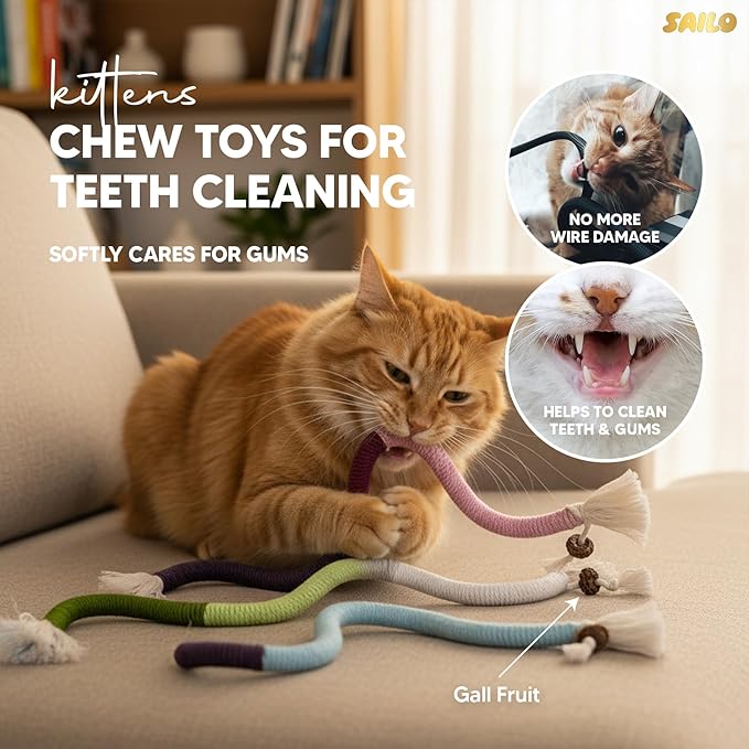SAILO Cat Nail File Scratcher and Claw Saver Box with Multiple Toys & Grooming Gloves | Interactive Toy for Indoor Cats | Treat Puzzle Enrichment Kit | Perfect Gifting Set for Cat Lovers