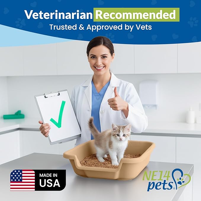 KittyGoHere Senior Cat Litter Box, Small Litter pan, Open Top Low Entrance Kitty Litter Box, Lightweight Low Entry Litters Box, Durable, Made in USA (2 Pack - Beach Sand)