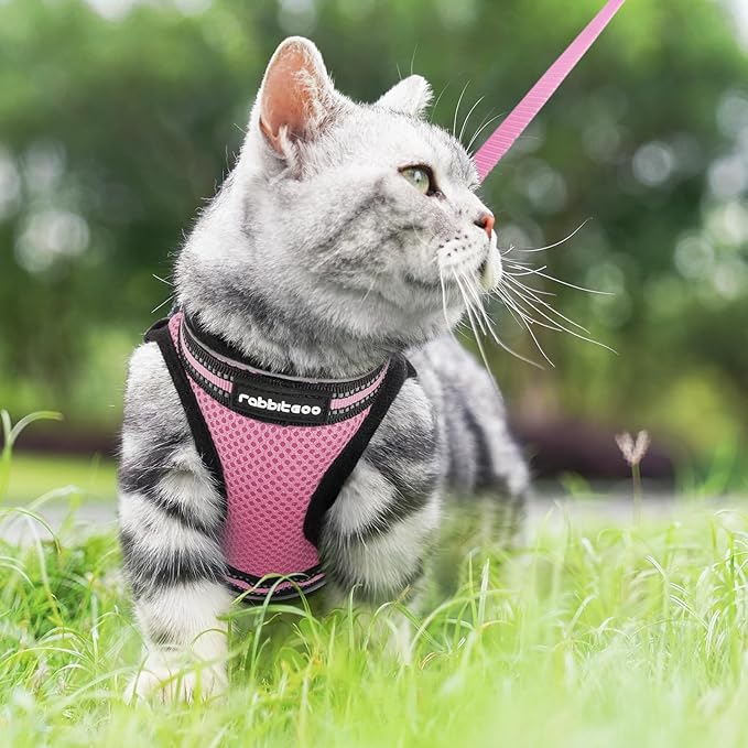 rabbitgoo Cat Harness and Leash, Step-in Escape Proof Kitten Harness Set, Soft Comfortable Cat Vest, Easy to Wear and Adjust, Reflective for Safe Outdoor Walking, Pink, Medium