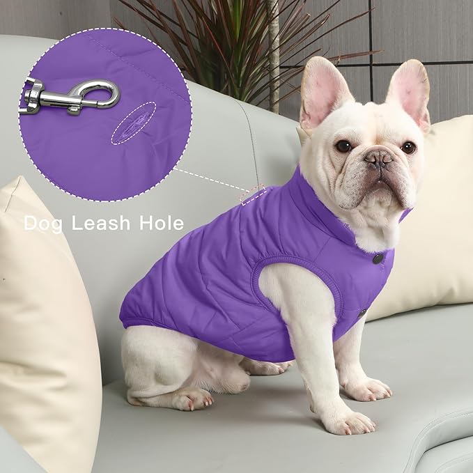 JoyDaog 2 Layers Fleece Lined Warm Dog Jacket for Winter Cold Weather,Soft Windproof Large Dog Coat,Purple XXL