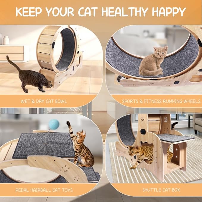 Cat Exercise Wheel for Indoor Cat Treadmill Running Wheel Toy with Non-Slip Base, 6-in-1 Multi-Functional Large