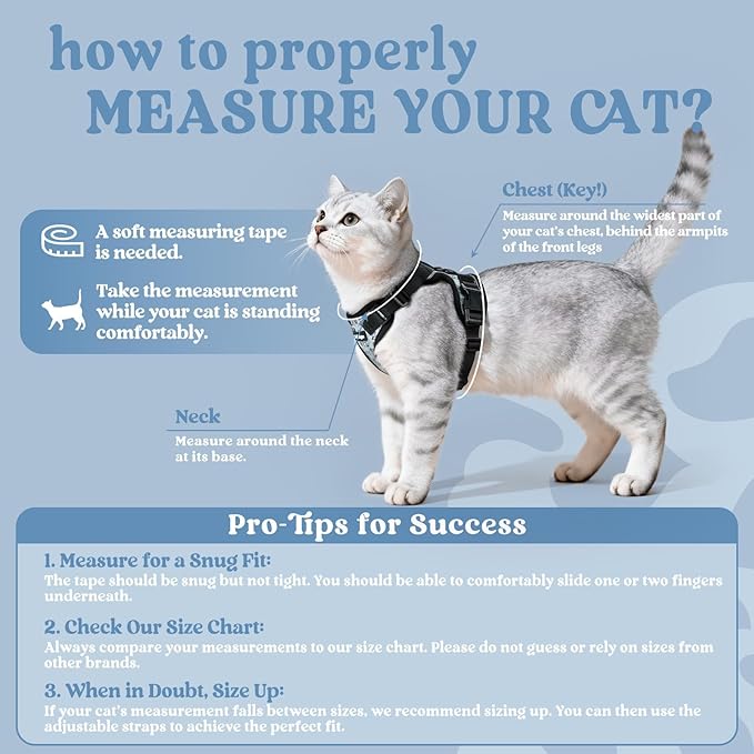 rabbitgoo Cat Harness and Leash Set, Escape Proof Vest Harness for Safe Outdoor Walks, Soft Breathable Adjustable Vest with Reflective Strips for Average to Large Cats, Doodle Gray, M