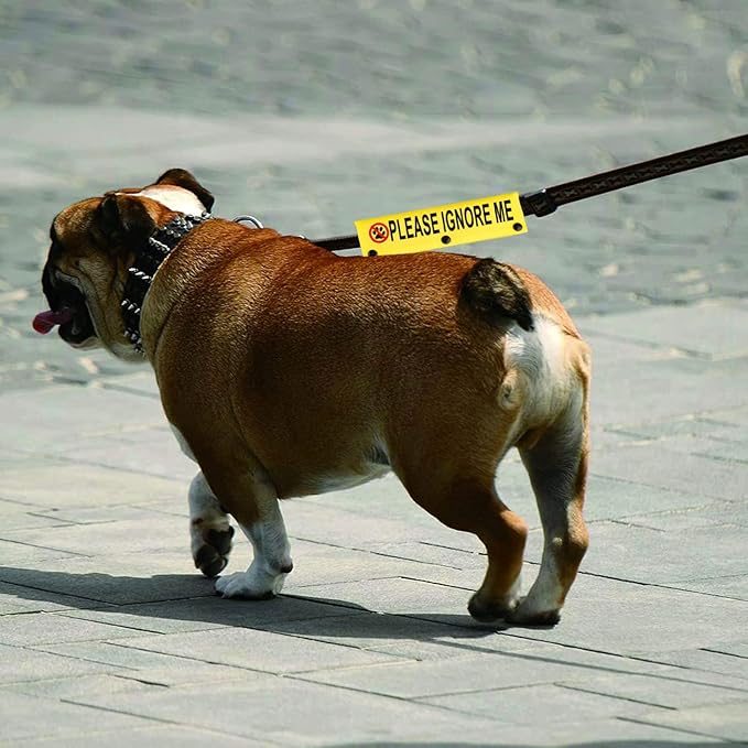 Funny Dog Leash Sleeve Please Ignore Me Dog Leash Wrap Sleeve Pet Birthday Gift (Please Ignore Me-YE Sleeve)