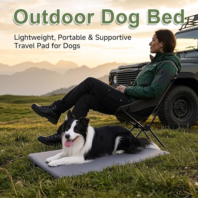 Outdoor XXL Dog Crate Pad, Reversible Waterproof Crate Mat Bed, Wipeable Kennel Mat Beds Pet Sleeping for Large Dogs, Waterproof, Wipeable, Anti-Slip, Kennel Pads 47 x 29 Inch, Dark Gray