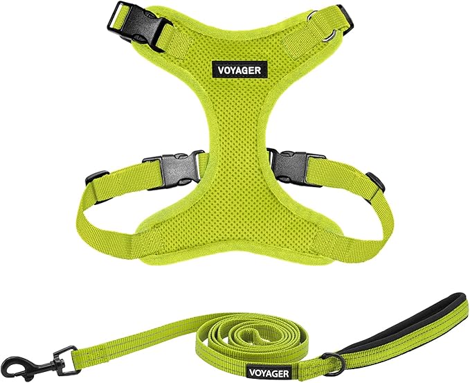 Best Pet Supplies Voyager Step-in Lock Pet Harness w Reflective Pet Leash Combo Set with Neoprene Handle 5ft - Supports Small, Medium and Large Breed Puppies/Cats - Lime Green Set, M