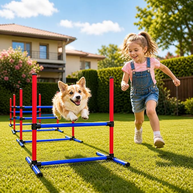 Dog Agility Training Equipment Set, 6 Piece Course with Adjustable Jump Bars, Carrying Bag (6)