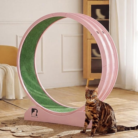 Cat Exercise Wheel, 47.2 Inch Indoor Treadmill for Cats with Carpeted Runway, Screw-Fixed Assembly for Easy Setup, Silent & Safe Fitness Equipment for Most Cats