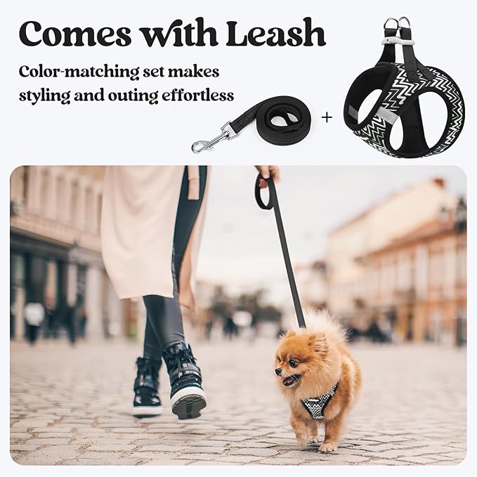 rabbitgoo Dog Harness Small Sized and Leash Set, Step in Soft Light Puppy Vest, Breathable Mesh Pet Harness, Reflective for Safe Easy Walking, Black Zigzag M