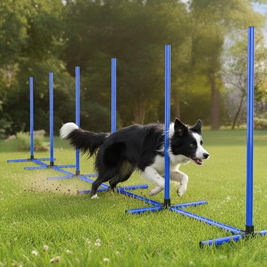 6 Weave Poles & 2 Hurdle Dog Agility Set, Indoor & Outdoor Training Equipment with Support Feet, 31" Height, 24" Spacing, Storage Bag