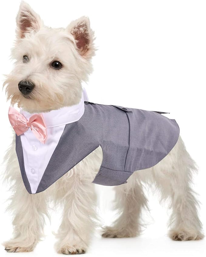 QBLEEV Dog Tuxedo Suit with Bow Tie, Formal Dog Tux Costume and Bandana Set for Wedding Outfit Birthday Party Cosplay Photo Shoot, Doggy Prince Attire for Chihuahua Yorkie Shih Tzu Pomeranian
