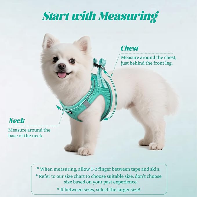 YIMEIS Dog Harness and Leash Set, No Pull Soft Mesh Pet Harness, Reflective Adjustable Puppy Vest for Small Medium Large Dogs, Cats (Tiffany Blue, Medium (Pack of 1)