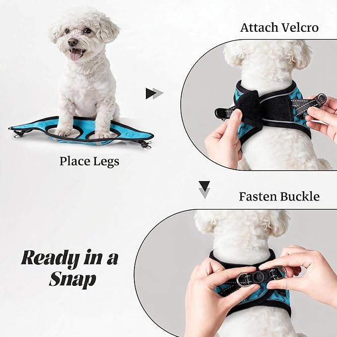 YIMEIS Dog Harness and Leash Set, No Pull Soft Mesh Pet Harness, Reflective Adjustable Puppy Vest for Small Medium Large Dogs, Cats (Blue-Update, X-Small (Pack of 1))