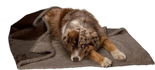 Furhaven Waterproof & Self-Warming Throw Blanket for Dogs & Indoor Cats, Washable & Reflects Body Heat - Soft-Edged Terry & Sherpa Dog Blanket - Espresso, Large