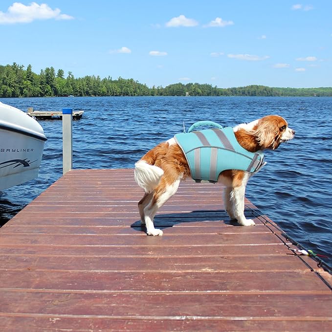 Kuoser Dog Life Jacket with Reflective Stripes, Dog Life Vest for Swimming Boating, Adjustable Pet Lifejackets with High Flotation, Doggie Swimsuit for Small Medium Large Dogs