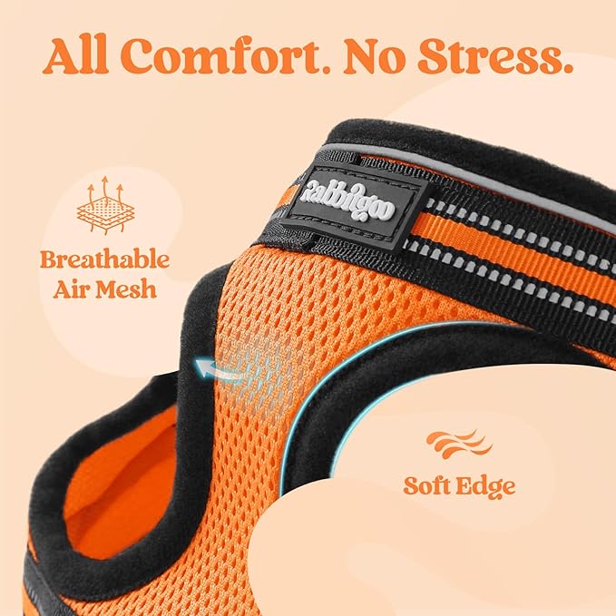 rabbitgoo Cat Harness and Leash, Step-in Escape Proof Kitten Harness Set, Soft Comfortable Cat Vest, Easy to Wear and Adjust, Reflective for Safe Outdoor Walking, Light Orange, Medium