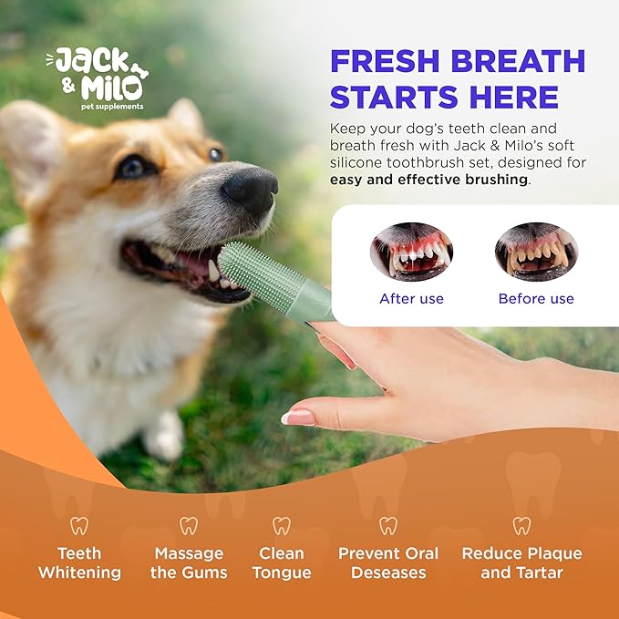 Jack & Milo 2-Pack Soft Silicone Pet Toothbrush – Gentle Finger Toothbrush for Small Dogs, Puppies & Cats – Safe Oral Care for Baby Pets – Promotes Healthy Teeth & Gums – Orange & Blue