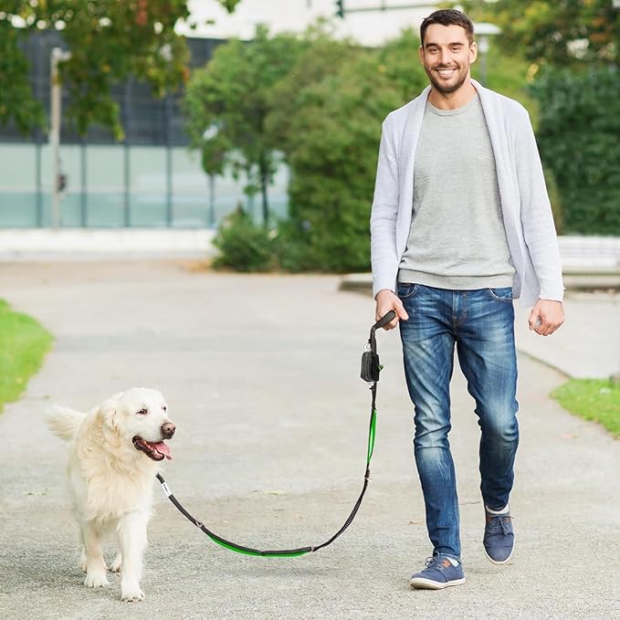 Dog Poop Bag Holder with Dispenser & Storage Pouch - Includes Adjustable Reflective Dog Leash (6FT Bungee, Padded Handles) - Durable Leash for Walking, Training & Travel (Aqua)