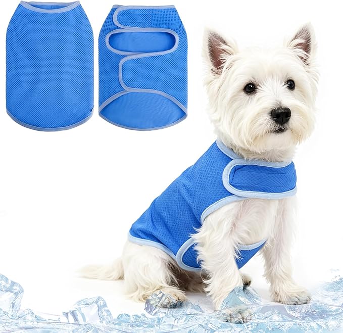 PUPTECK Dog Cooling Vest, Breathable Mesh PVA Dog Shirt, Lightweight Soft Instant Chill Sleeveless Pet Clothes, Adjustable Cooler Jacket Puppy Outfit for Hot Summer Outdoor, Blue S