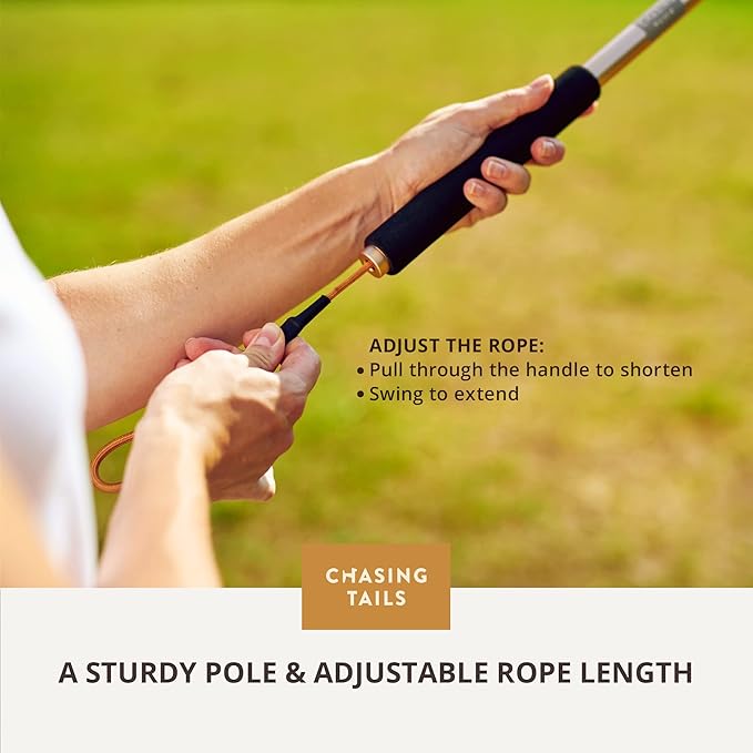Chasing Tails Flirt Pole for Small Dogs - 26 Inch with 70 Inch Rope and Two Toys -Interactive Play Equipment for Small and Medium Breeds - Durable and Fun Exercise Tool for Active Pets