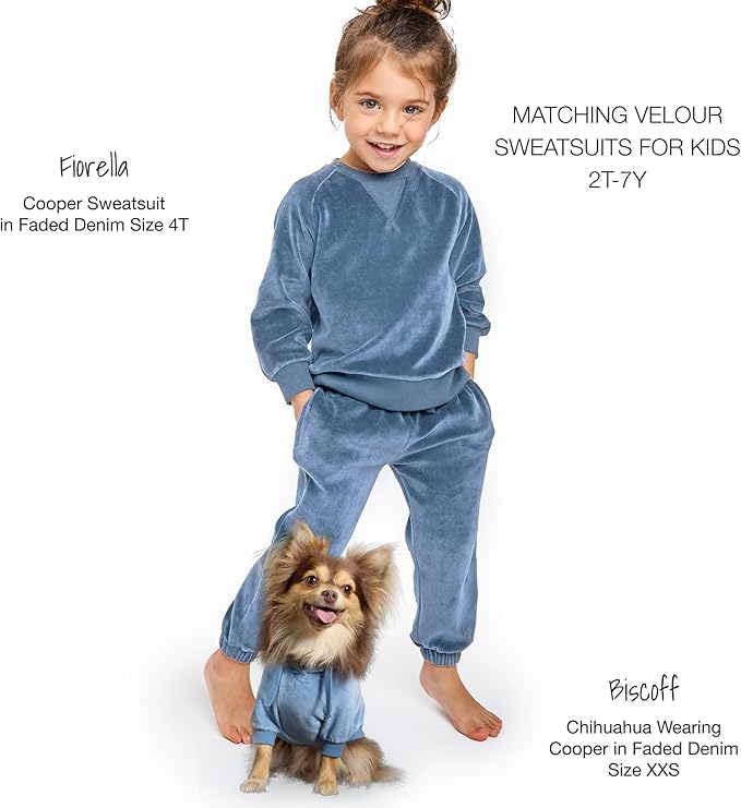 Pet Passion Cooper II Organic Cotton Velour Dog Hoodie Pet Coat for Small, Medium and Large Dogs, Faded Denim, Large (40-60 lbs)