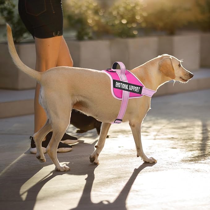 voopet Emotional Support Dog Harness, Professional Service Dog Vest Harness for Small Medium Large Dogs, Reflective Breathable and Adjustable No Pull/Choke ESA Essential Harness