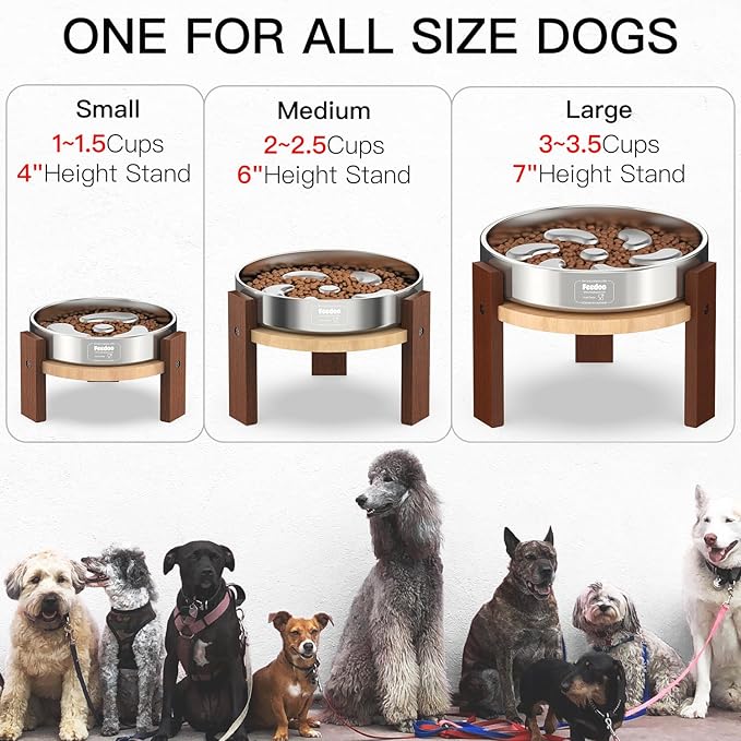 Elevated Dog Bowl Stand, 6'' Height Raised Stand for Medium Dogs, Includes 2Cups Stainless Steel Slow Feeder Dog Bowl, Durable Solid Hardwood