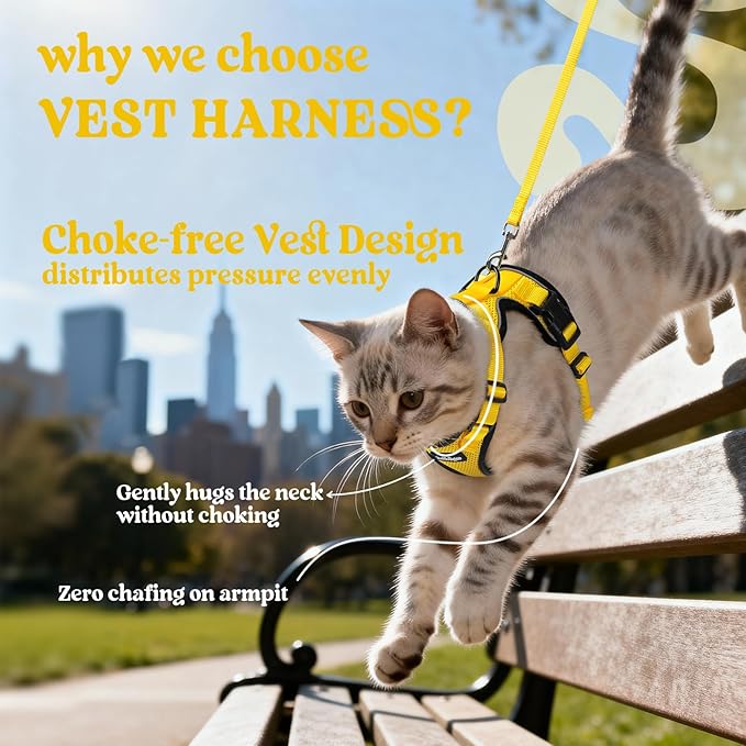 rabbitgoo Cat Harness and Leash Set, Escape Proof Kitten Harness for Safe Outdoor Walks, Soft Breathable Adjustable Vest with Reflective Strips for Kittens and Extra Small Cats, Yellow, XXS