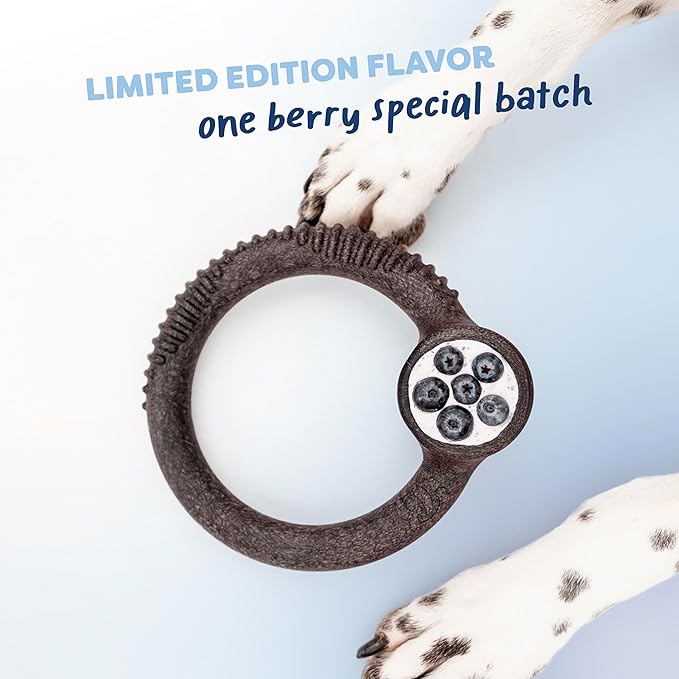 Benebone Limited Edition Blueberry Medium 4-Pack Dog Toys for Aggressive Chewers, Durable Dog Bones, Made in USA, Dog Toys for Medium Dogs Under 60 lbs