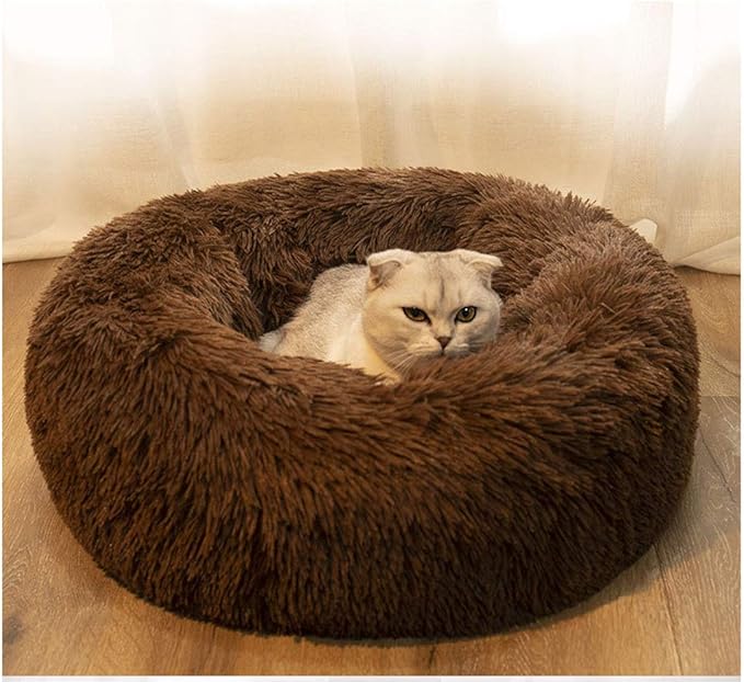 Modern Soft Plush Round Pet Bed for Cats or Small Dogs, Mini Medium Sized Dog Cat Bed Self Warming Autumn Winter Indoor Snooze Sleeping Cozy Kitty Teddy Kennel (24'' D x 8'' H, Chocolate)