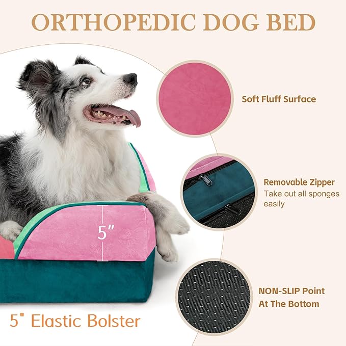 Comfort Expression Orthopedic Dog Bed for Large Dogs 36x27 Inch, Waterproof Egg Crate Foam Large Pet Bed with Bolsters, Dog Couch with Washable Cover & Non-Slip Bottom, Mint-Berry Dream