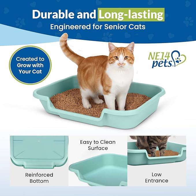 KittyGoHere Senior Cat Litter Box, Large Litter pan with Long-Handle Jumbo Scoop, Open Top Low Entrance Kitty Litter Box, Lightweight Low Entry Litters Box, Durable, Made in USA (2 Pack - Green)
